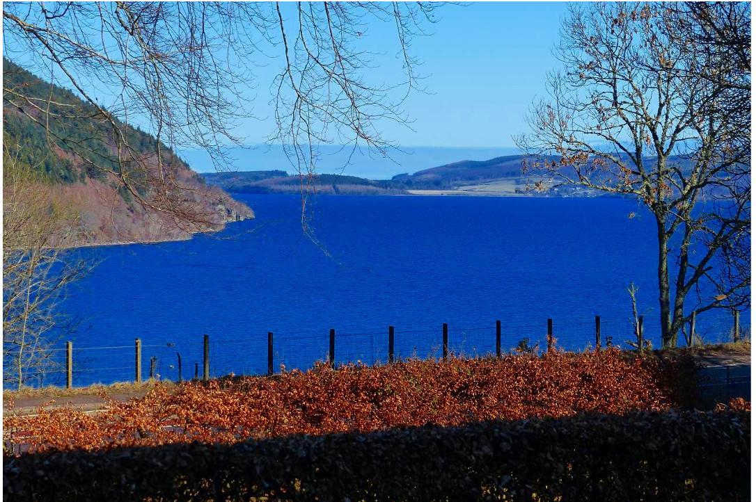 Urquhart Bay *
